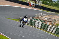 Lower Group Blue Bikes